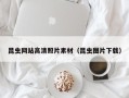 定安昆虫网站高清照片素材（昆虫图片下载）